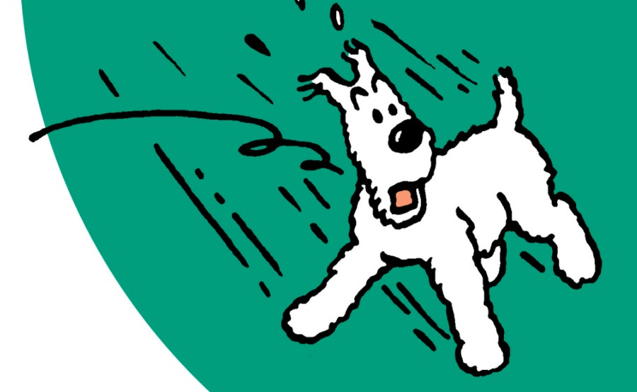 Milou chien célèbre dans Tintin